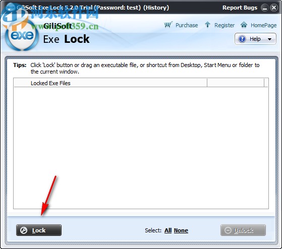 Gilisoft EXE Lock(EXE程序加密软件)