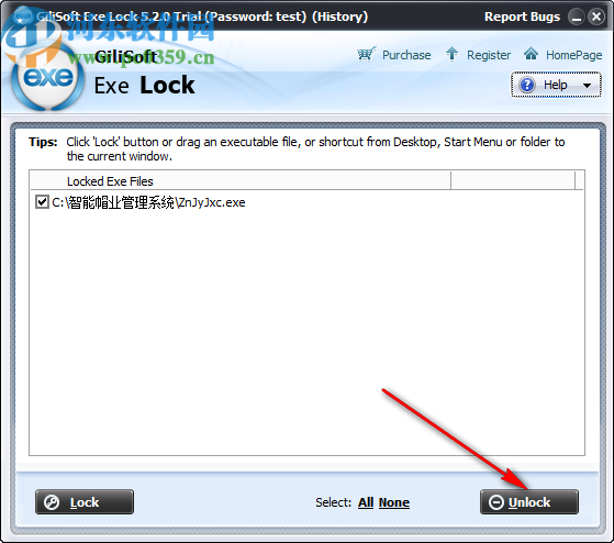 Gilisoft EXE Lock(EXE程序加密软件)