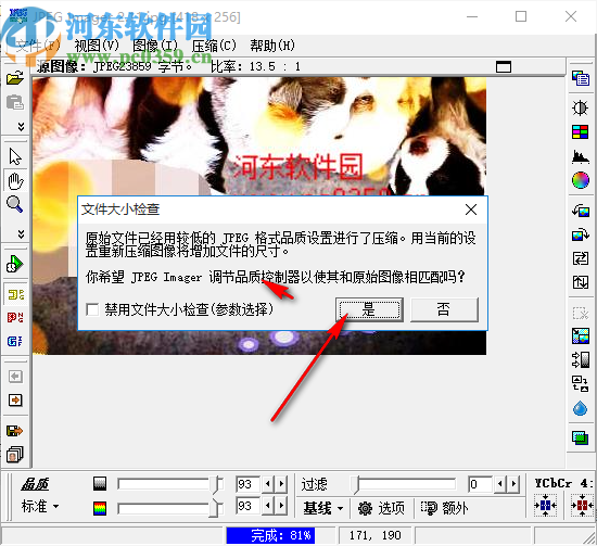 JPEG Imanger(图片压缩软件)