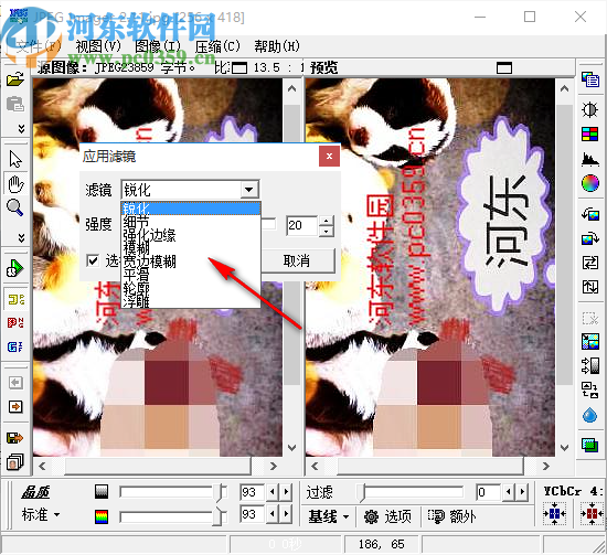 JPEG Imanger(图片压缩软件)