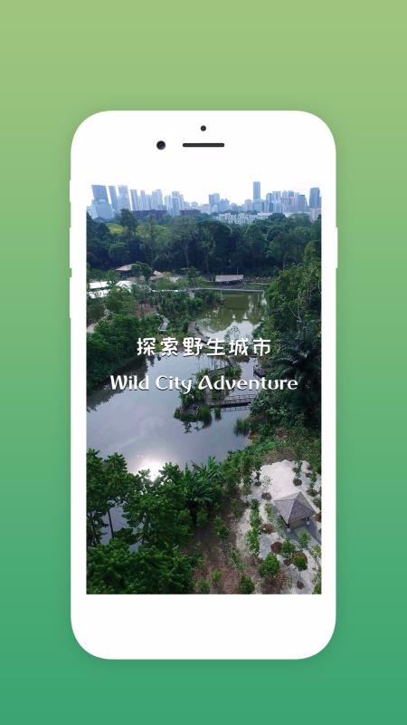 探索野生城市(2)