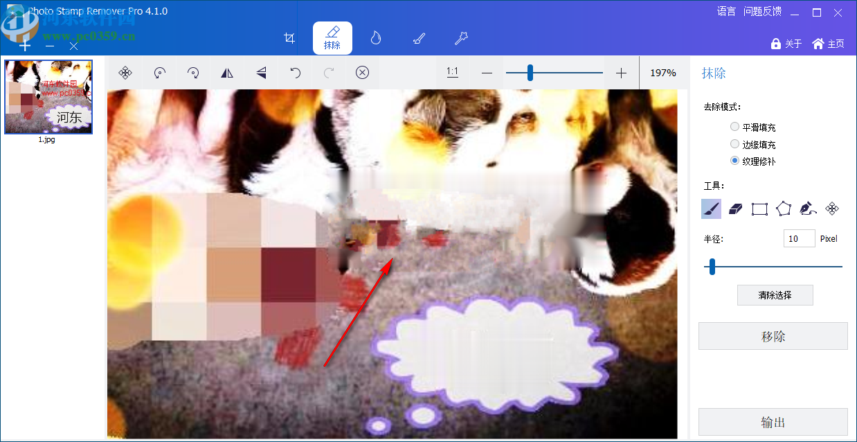 GiliSoft Photo Stamp Remover(图片水印清除工具)