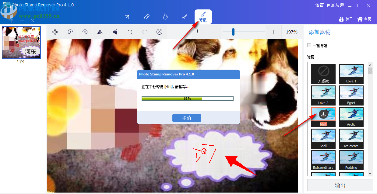 GiliSoft Photo Stamp Remover(图片水印清除工具)