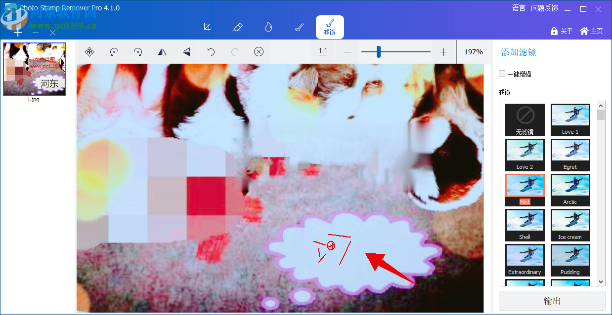 GiliSoft Photo Stamp Remover(图片水印清除工具)