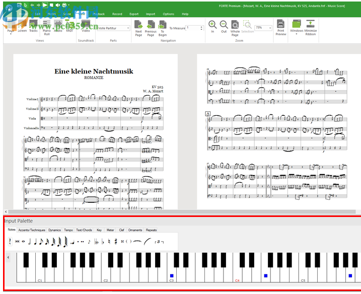 FORTE 11 Premium(乐谱制作软件)