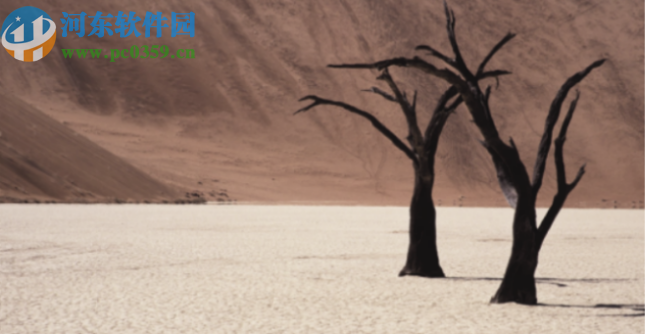 Corel VideoStudio 2019 Lite 64位免费版