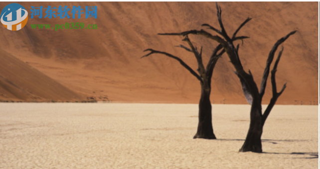 Corel VideoStudio 2019 Lite 64位免费版