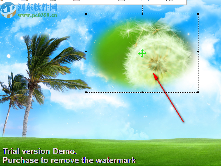 Boxoft Photos Cool Maker(照片美化软件)