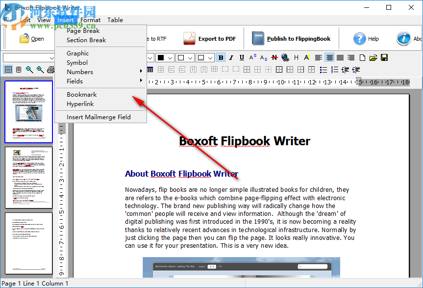 Boxoft Flipbook Writer(翻页书制作软件)