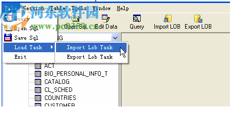 DB2LobEditor(db2数据库编辑工具)
