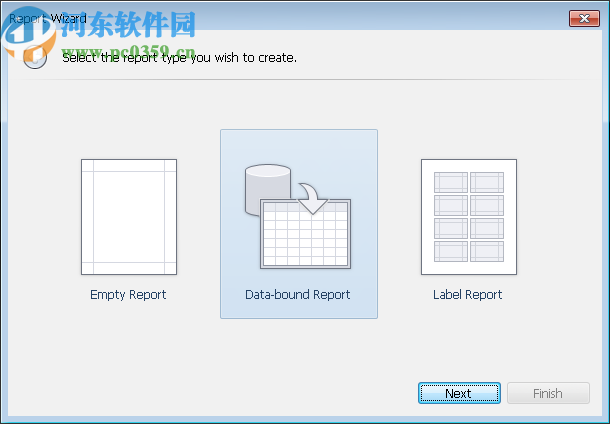 Report Fabricator(报表设计软件)