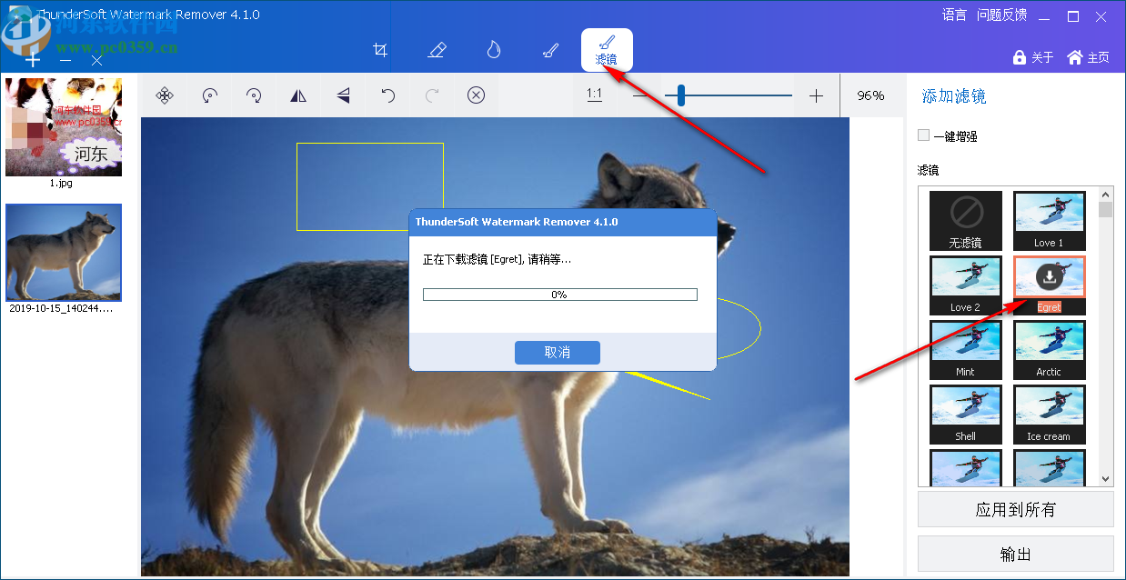 ThunderSoft Watermark Remover(图片水印删除软件)
