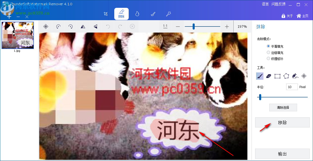 ThunderSoft Watermark Remover(图片水印删除软件)