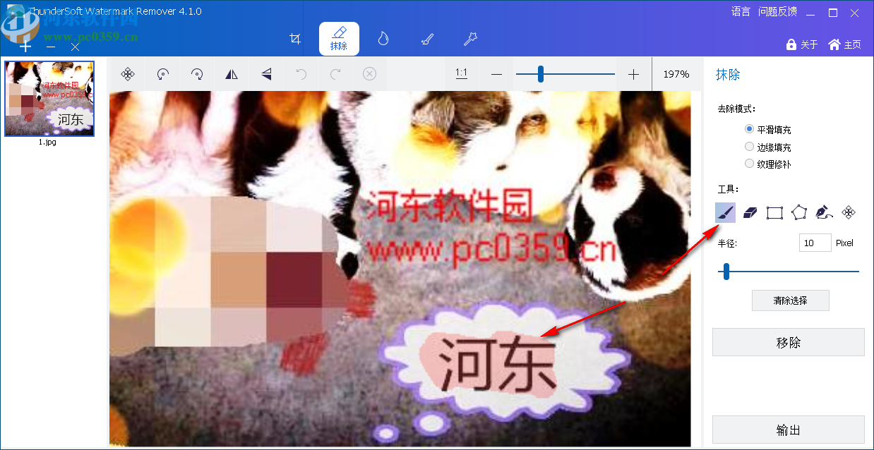 ThunderSoft Watermark Remover(图片水印删除软件)