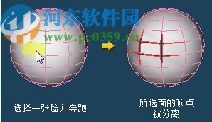 三维模型设计软件(Tetraface Inc Metasequoia)