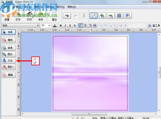 Epson Print CD(爱普生光盘打印工具)