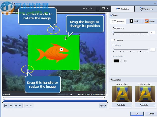 AVS Video Software(视频编辑工具)