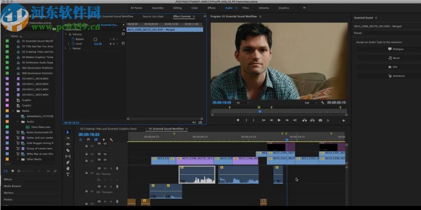 pr2020中文绿色精简版