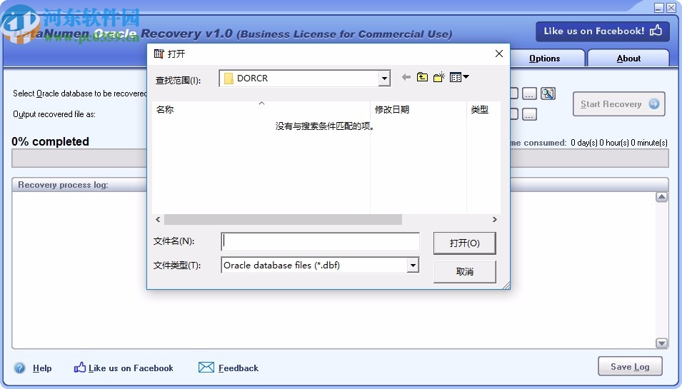 DataNumen Oracle Recovery