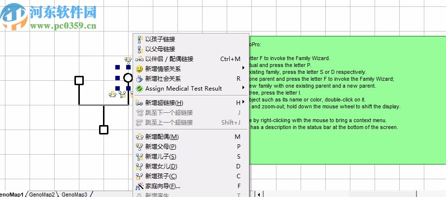 GenoPro(家谱族谱制作软件)