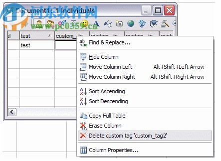 GenoPro(家谱族谱制作软件)