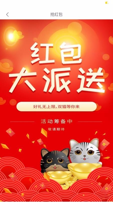 双猫靓女彩购(2)