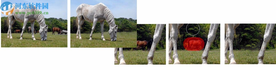 Dynamic Auto Painte Pro