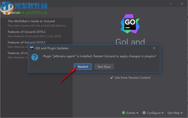 jetbrains goland 2020.1汉化包