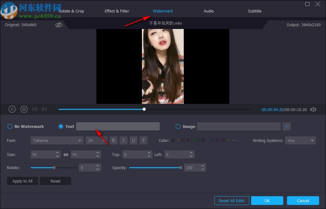 Vidmore(免费视频格式转换软件)