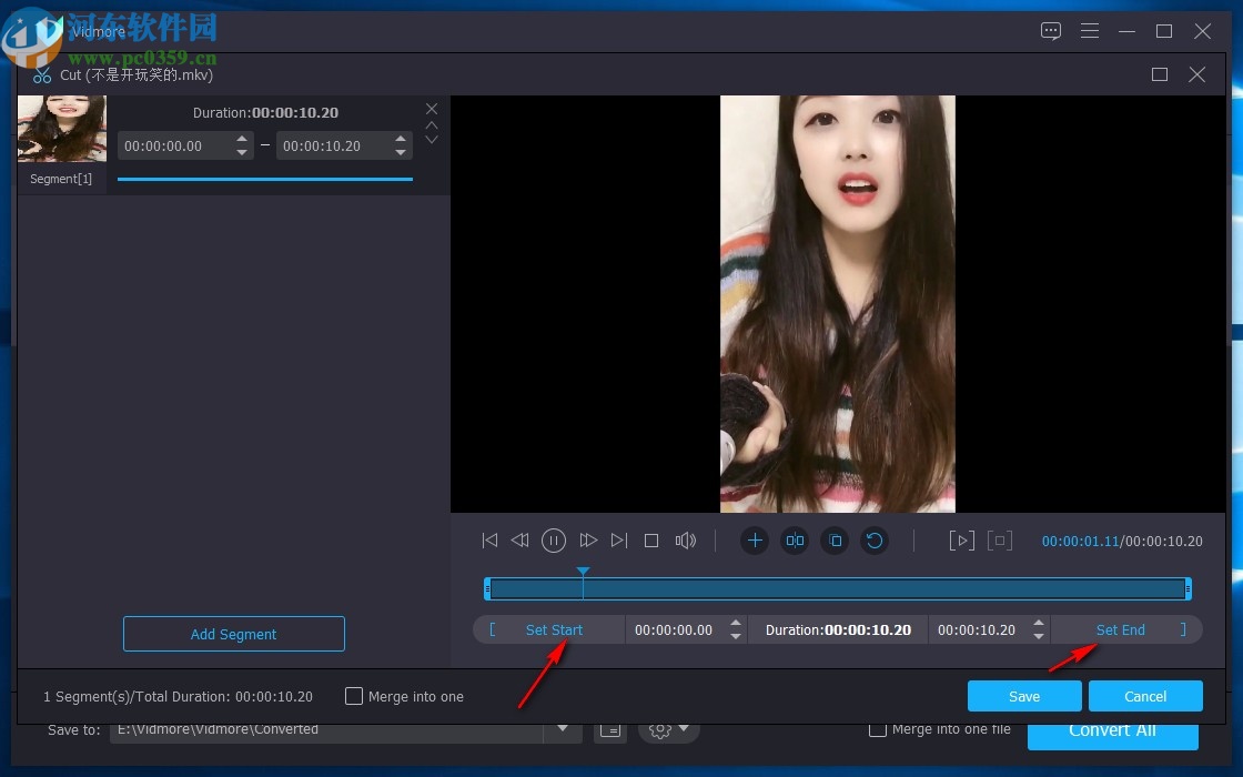 Vidmore(免费视频格式转换软件)