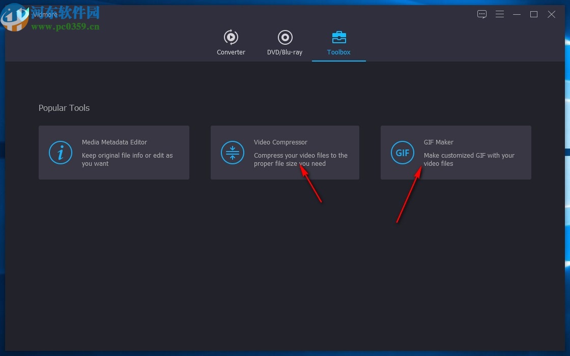 Vidmore(免费视频格式转换软件)