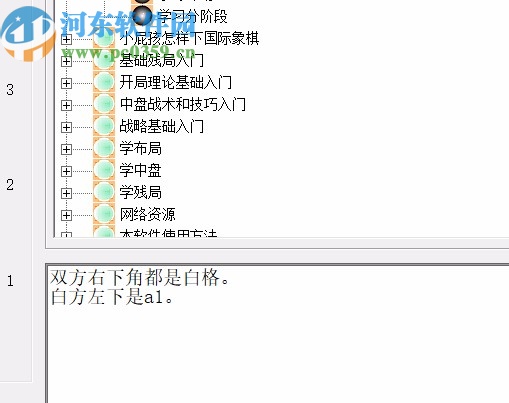 小屁孩学国际象棋