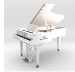 Pianoteq STAGE(钢琴音频插件)