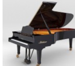 Pianoteq STAGE(钢琴音频插件)