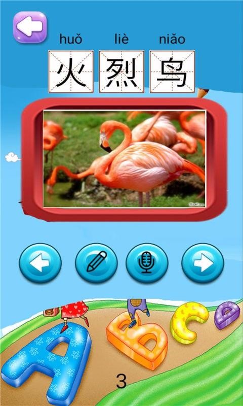 儿童识字鸟类篇(4)