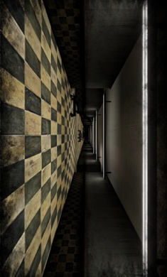 后室体验2022最新版(4)