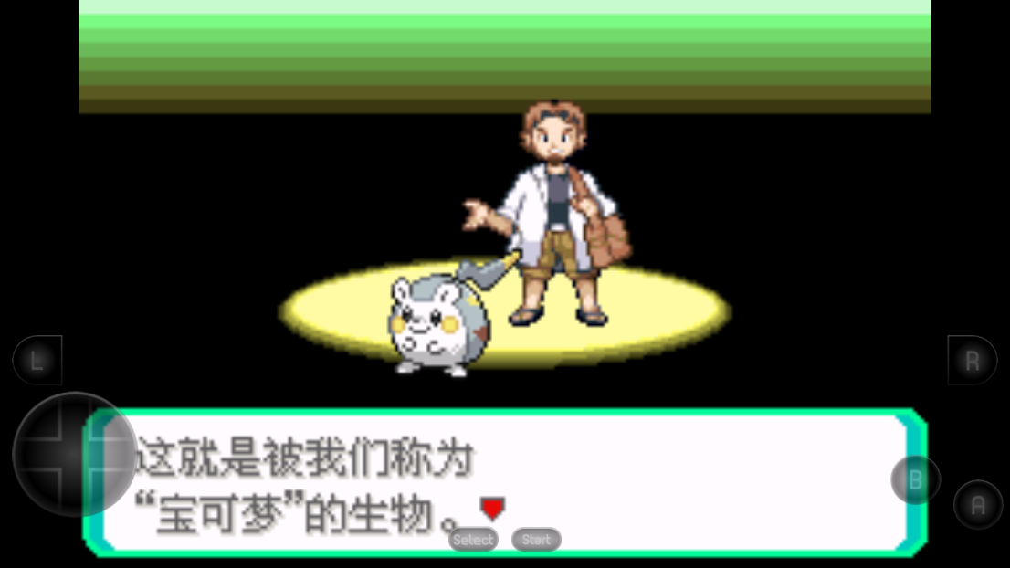 口袋妖怪荣耀神战小智版(4)